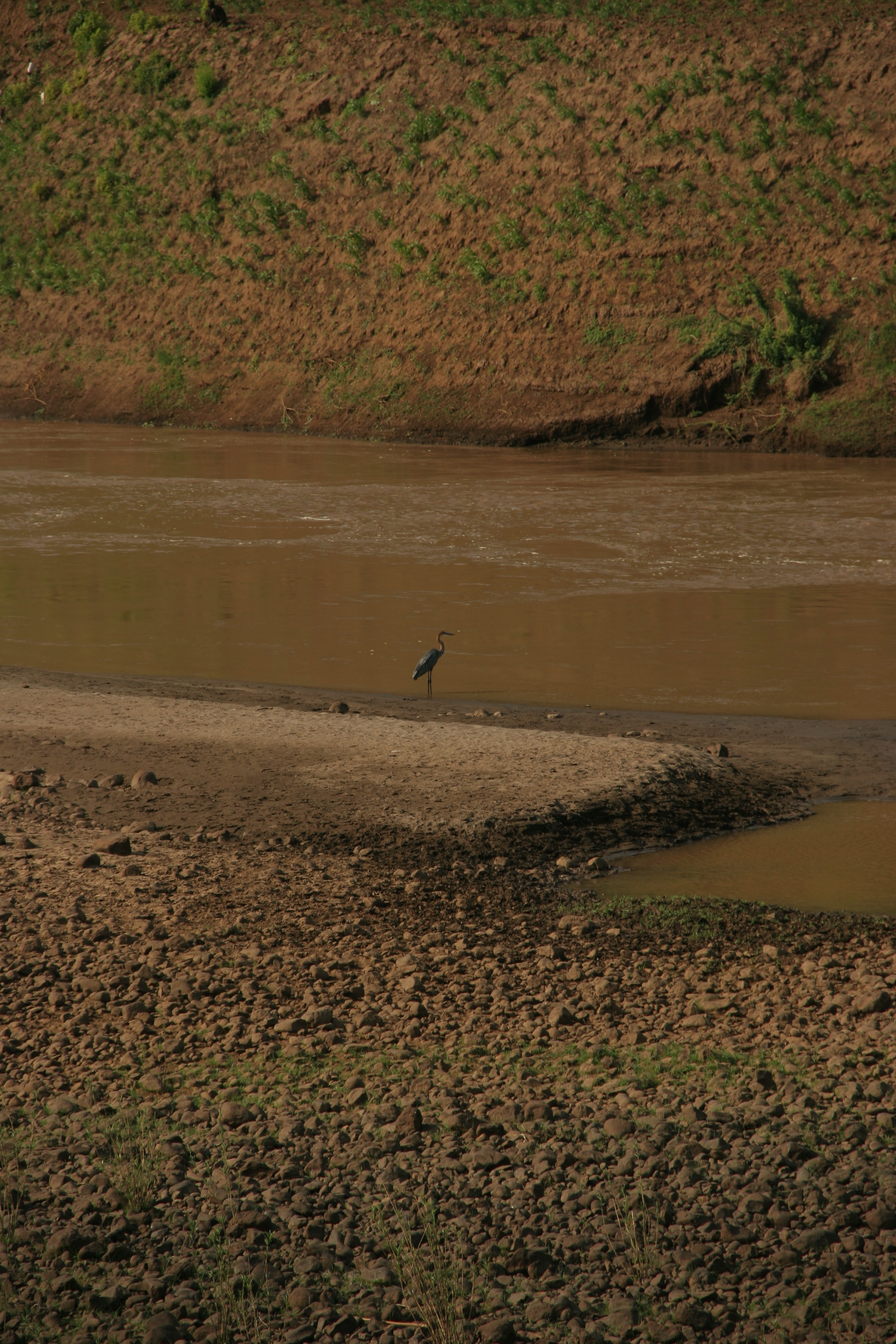 Omo River Birds