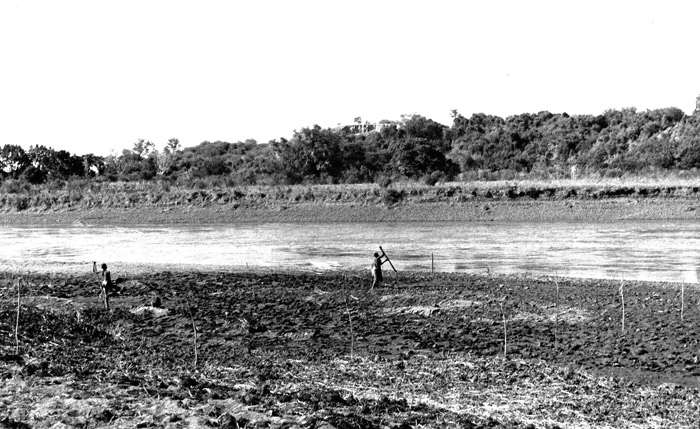 Planting at the Omo