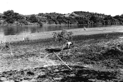 Planting at the Omo