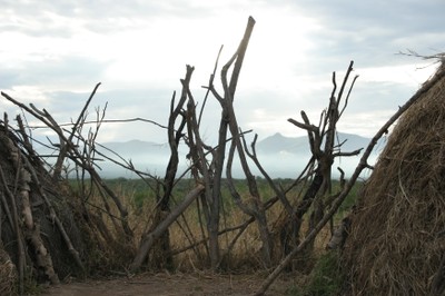 Good fences keep the hyenas away