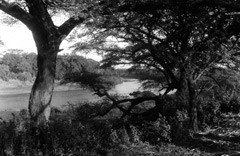 The River Omo at Kurum