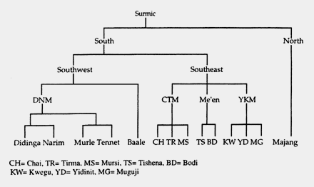Classification of Surmic languages