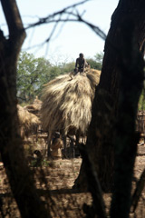 Thatching a grain store